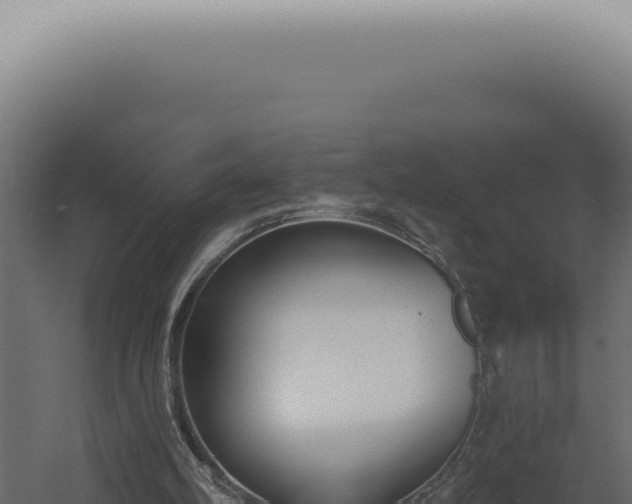 X0000060270102200511041426