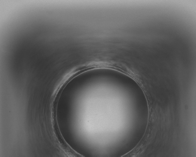 X0000060270103200511041426