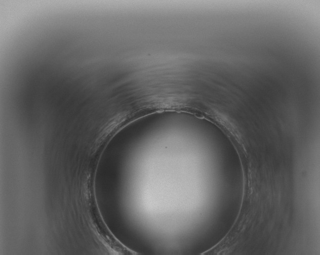 X0000060270105200511041426