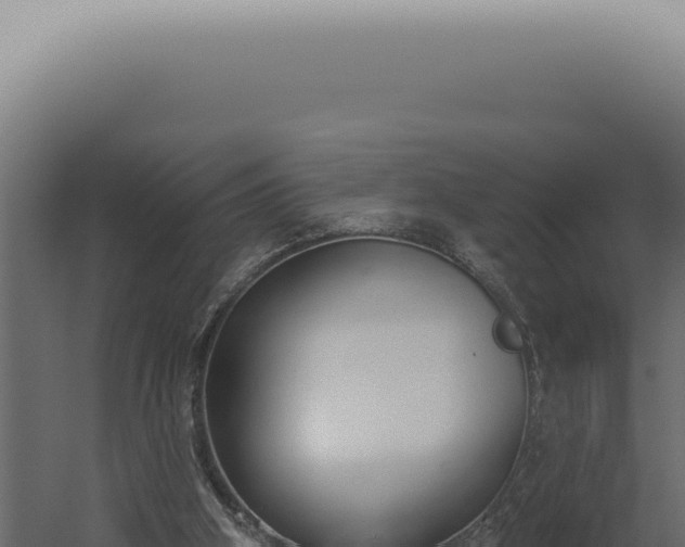 X0000060270106200511041426