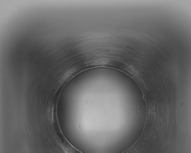 X0000060270110200511041426