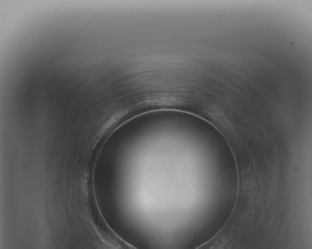 X0000060270111200511041426