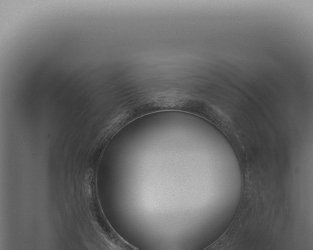 X0000060270114200511041426