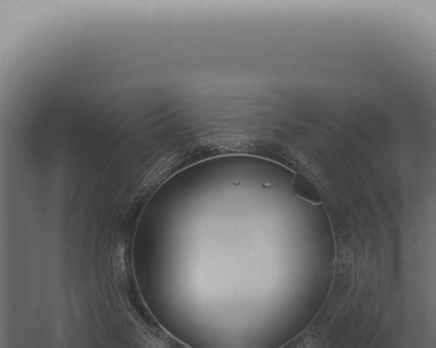 X0000060270117200511041426