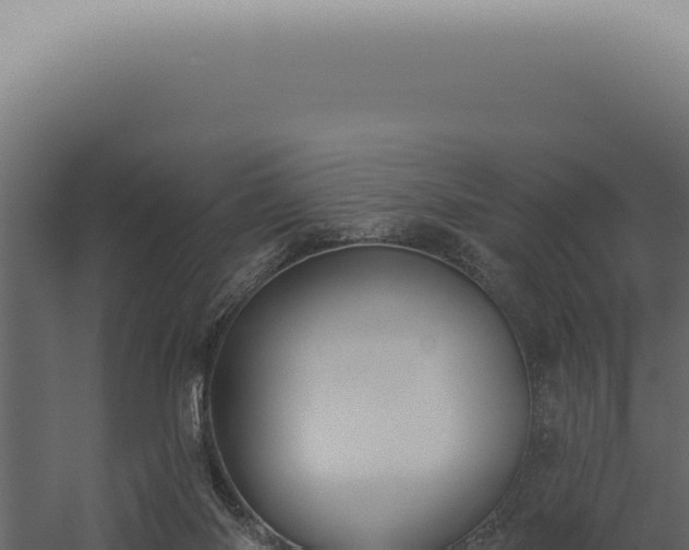 X0000060270118200511041426