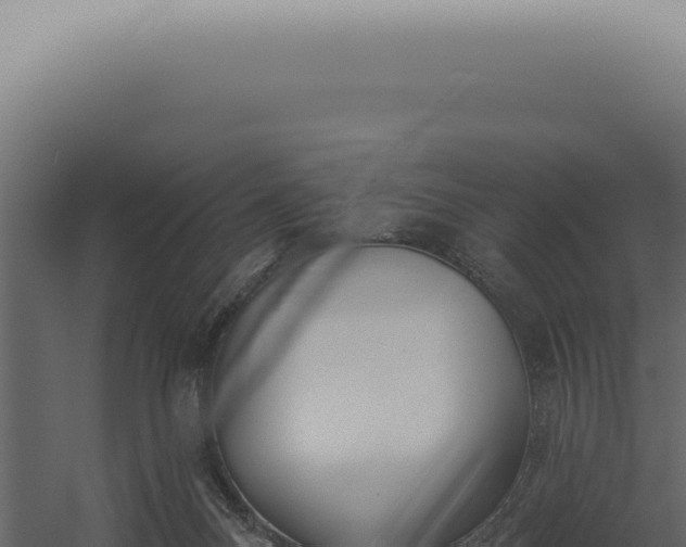 X0000060270120200511041426