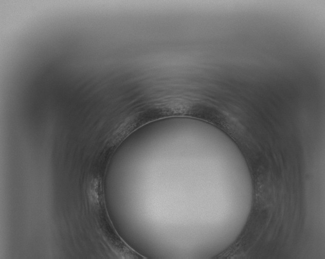 X0000060270122200511041425