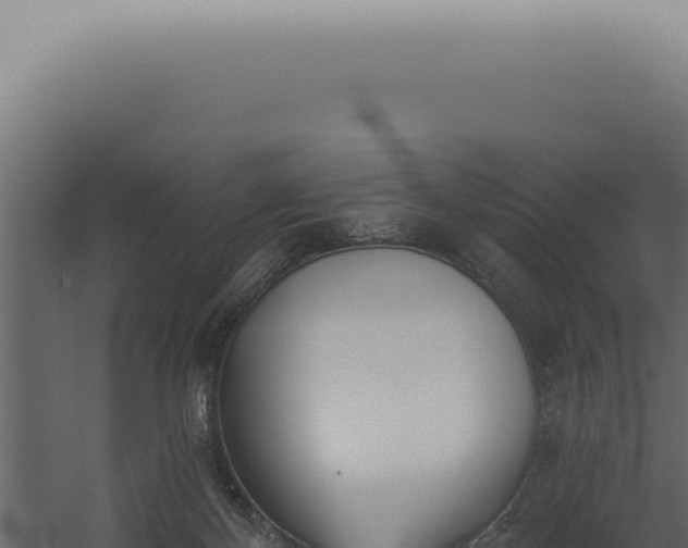 X0000060270124200511041425