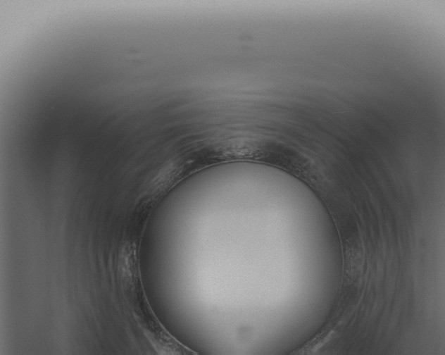 X0000060270126200511041425