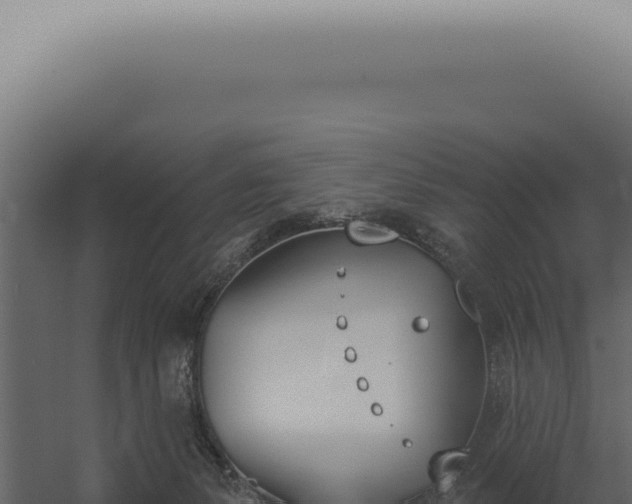 X0000060270127200511041425