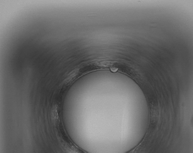 X0000060270128200511041425