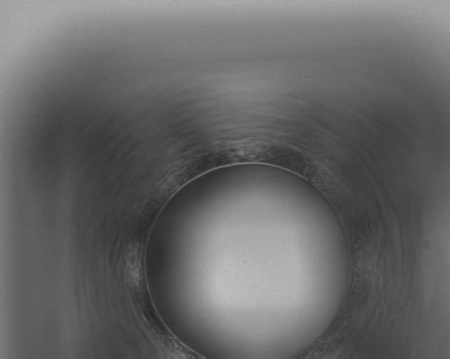 X0000060270129200511041425