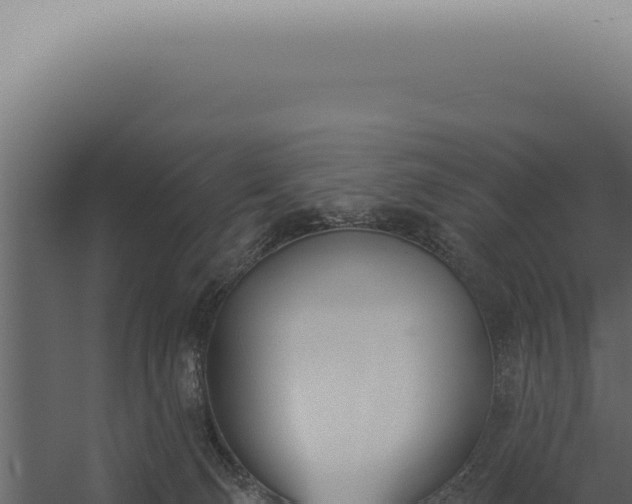 X0000060270130200511041425