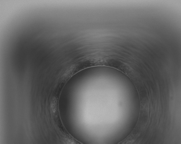 X0000060270133200511041425