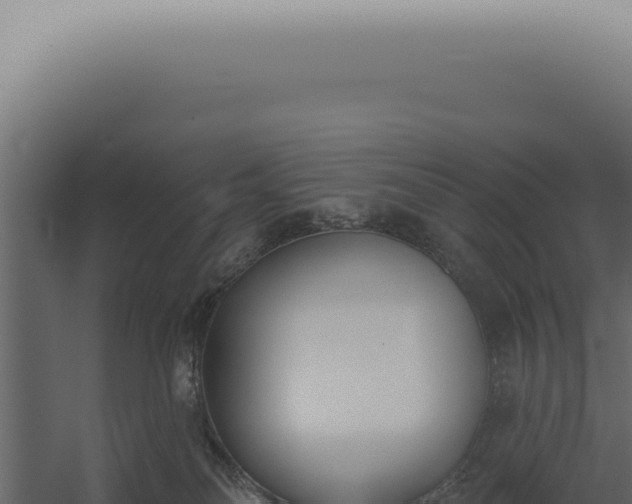 X0000060270134200511041425