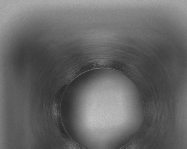 X0000060270135200511041425