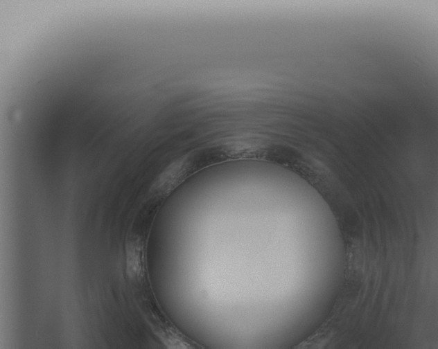 X0000060270138200511041425