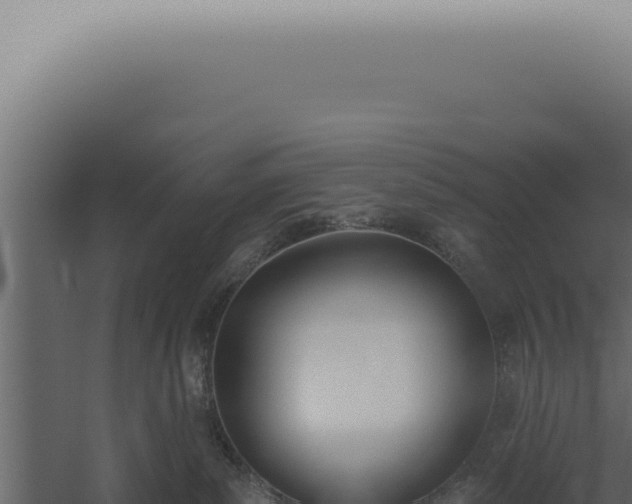 X0000060270139200511041425