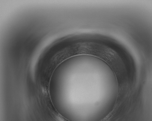 X0000060270142200511041425