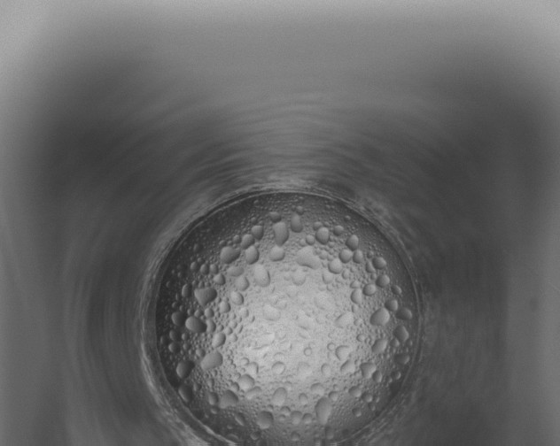 X0000060270145200511041424