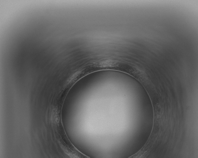 X0000060270164200511041425