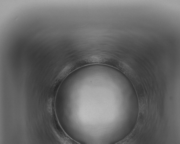 X0000060270167200511041425