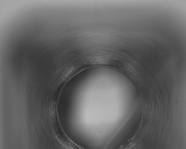 X0000060270168200511041425