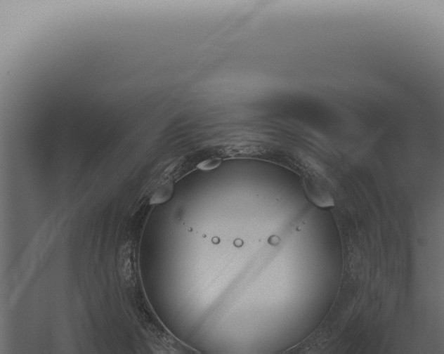 X0000060270169200511041425