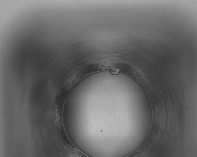 X0000060270173200511041425