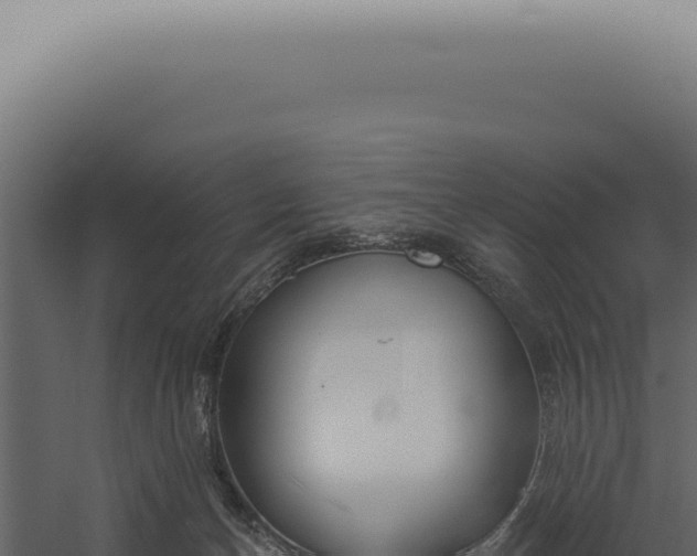 X0000060270174200511041425