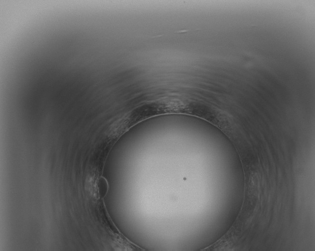 X0000060270177200511041425