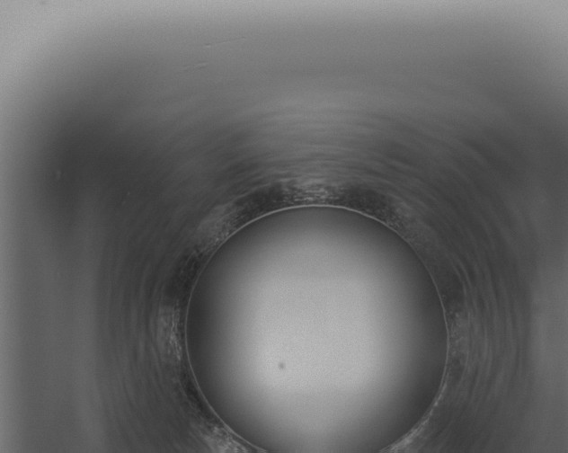 X0000060270178200511041425