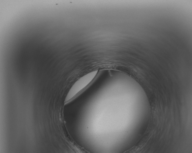 X0000060270185200511041425