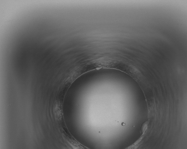 X0000060270186200511041425