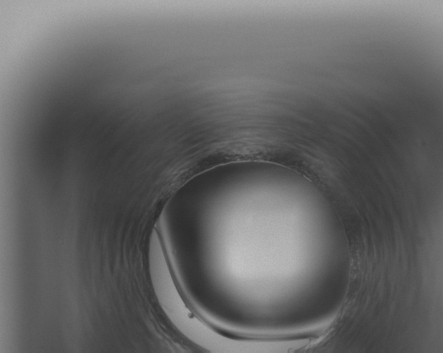 X0000060270187200511041425