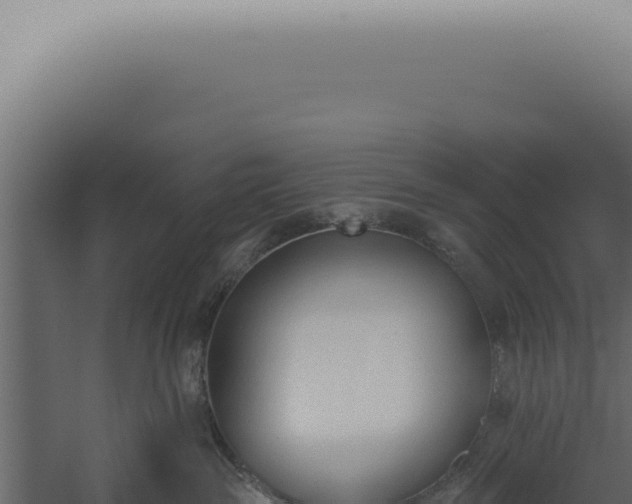 X0000060270189200511041425