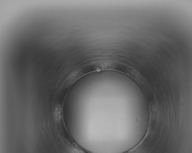 X0000060270191200511041425