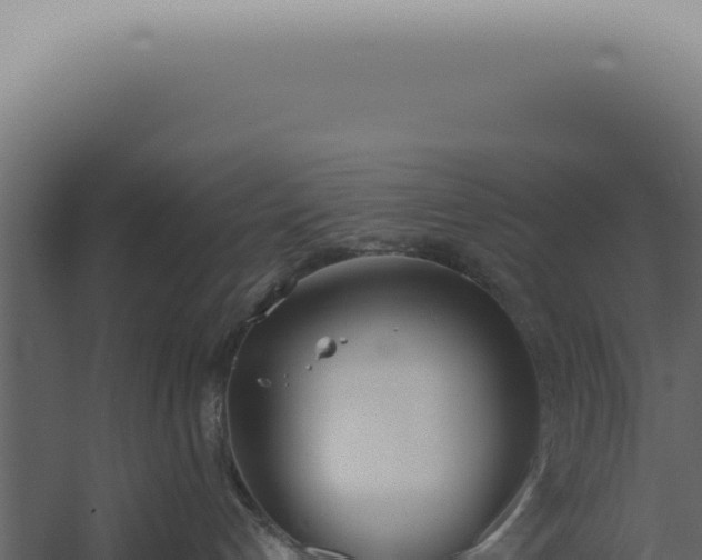 X0000060270192200511041425