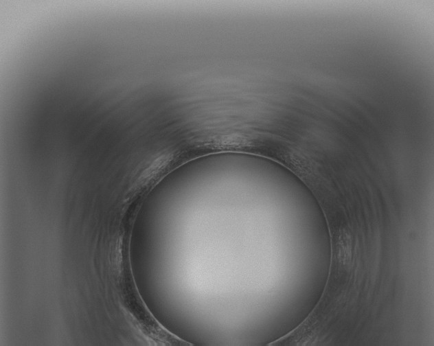 X0000060270206200511041424