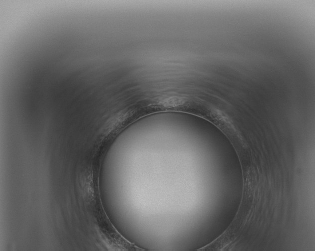X0000060270212200511041424