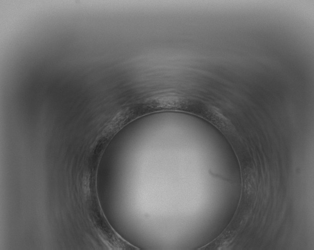 X0000060270213200511041424