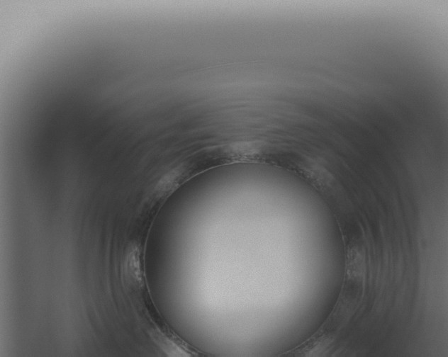 X0000060270238200511041424