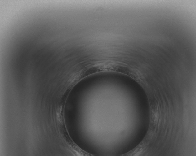 X0000060270239200511041423
