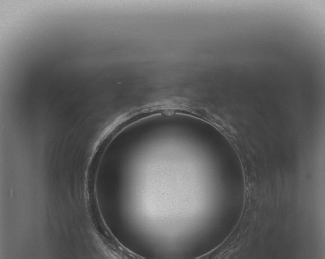 X0000060270248200511041423