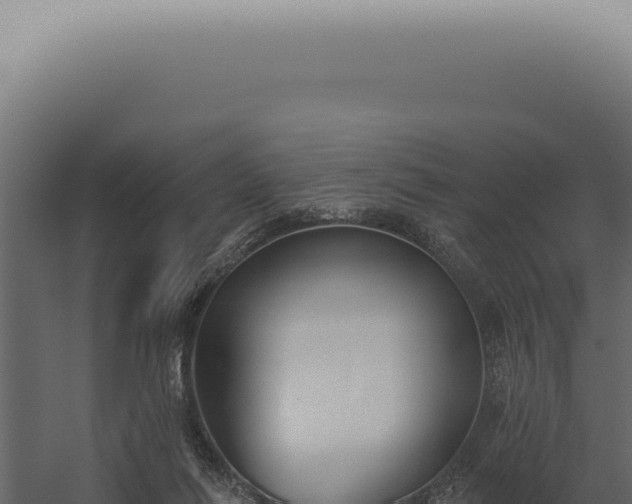 X0000060270262200511041423