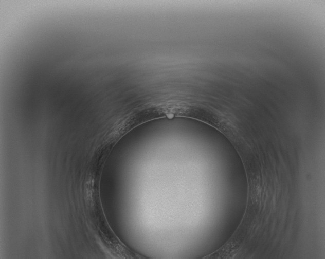 X0000060270263200511041423