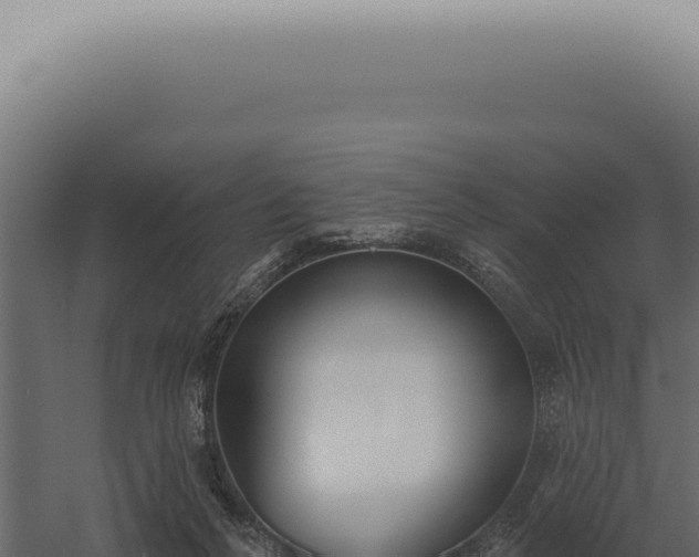 X0000060270264200511041423