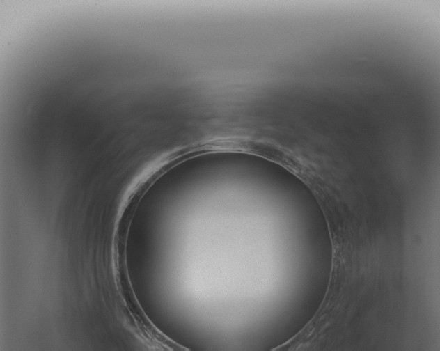 X0000060270294200511041423