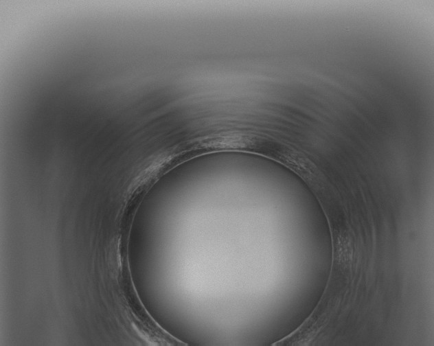 X0000060270302200511041422