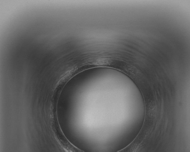X0000060270303200511041422